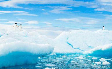 Потрясающие фотоснимки Арктики и Антарктики от фотографа Дэвида Шульца...