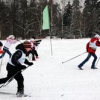 Соревнования по лыжным гонкам