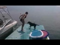 Собака, которая не умеет прыгать